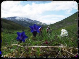 06.07.13 Lachnergrat-Schwialp Biketour