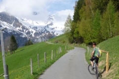 fruehling1