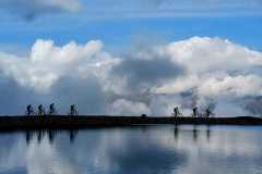 WhatsApp-Bild-2025-09-13-um-11.46.27_325d5c34