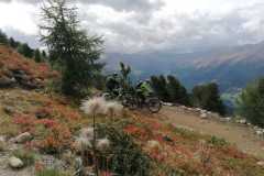 WhatsApp-Bild-2025-09-13-um-18.00.38_9a33e156