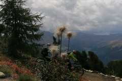 WhatsApp-Bild-2025-09-13-um-18.00.39_243d239c