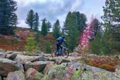 WhatsApp-Bild-2025-09-13-um-18.16.00_025ece58