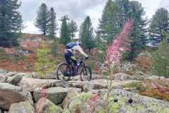 WhatsApp-Bild-2025-09-13-um-18.16.00_f854309e