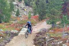 WhatsApp-Bild-2025-09-13-um-18.16.04_83aabe04