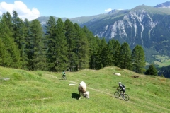 27 8 16 Piz Beverin 083