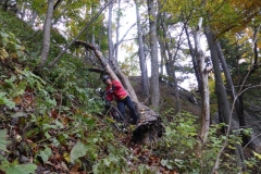 17 10 15 Berghaus Gonzen 051