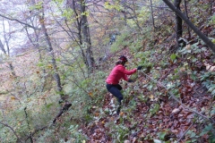 17 10 15 Berghaus Gonzen 052
