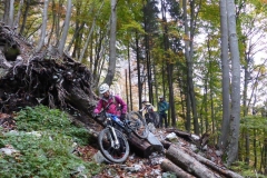 17 10 15 Berghaus Gonzen 059