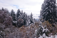 2015-10-17 11.19.38