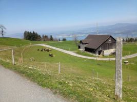 24. April 2020 Biketour über alle Berge