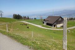 Aussicht Flüeh