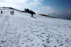 IMG_20220306_123315