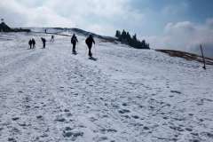 IMG_20220306_123400