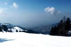 IMG_20220306_124150