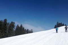 IMG_20220306_124154