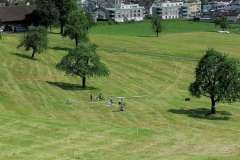 IMG-20230507-WA0071