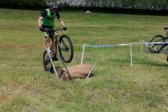 IMG-20230507-WA0081