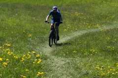 WhatsApp-Image-2026-04-25-at-17.50.01-6