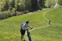 WhatsApp-Image-2026-04-25-at-17.50.01-7