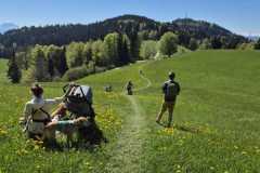 WhatsApp-Image-2026-04-25-at-17.50.01-8