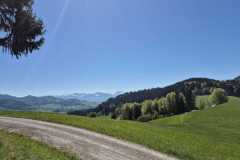 WhatsApp-Image-2026-04-25-at-17.50.02