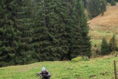 IMG-20241005-WA0043