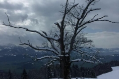 IMG-20160306-WA0016