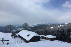 IMG-20160306-WA0017