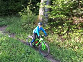2017 Kidsbike
